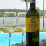 Vinho-Puklavec-and-Friends-Sauvignon-Blanc-Pinot-Grigio