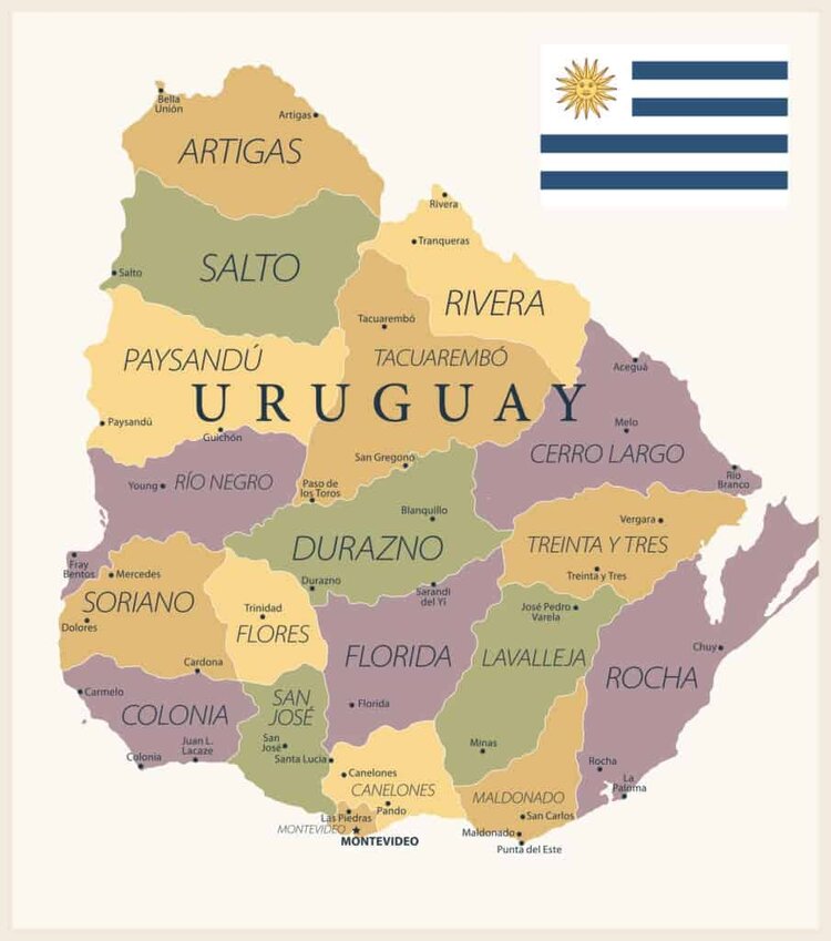 Vinhos Uruguaios