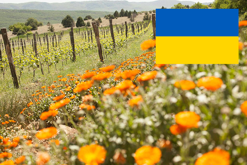 Vinhos da Ucrânia